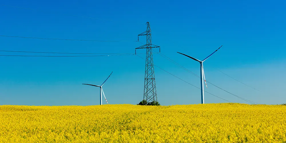Sustainability for Businesses Lancashire